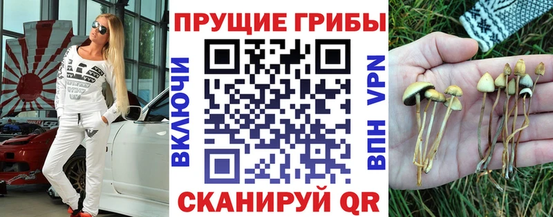 Галлюциногенные грибы MAGIC MUSHROOMS  Монино 